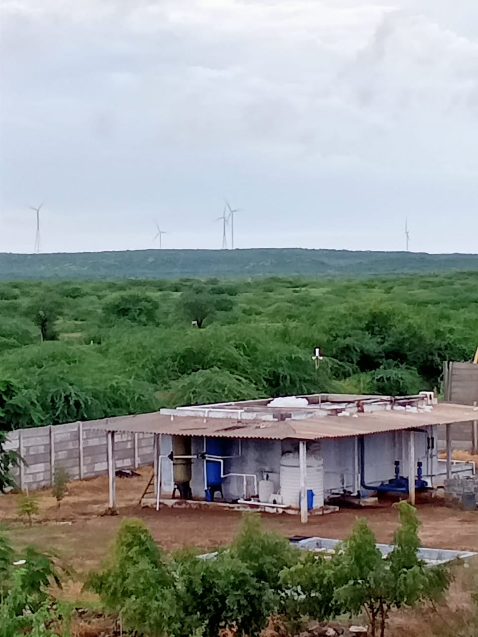 STP%20plant.jpeg